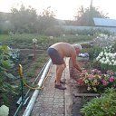 ���� ������, ����������, 81 ��� - ��������� 26 ������� 2015 � ������ ������ ��������