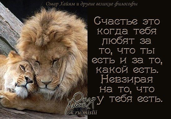   - 13  2015  08:22