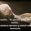   ...   ,    ...      .   , , ...    -   .   ...          ...  ...   .     .     ,      -   ,        ,   ...   ,   ...   ,  2015 - 2016 (    )