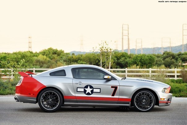 Ford Mustang GT s P-51 Mustang - 6