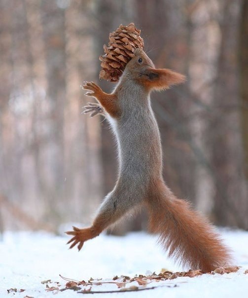        - 10