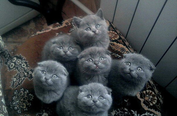 ��������������!!!