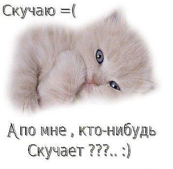      - 1  2015  09:04