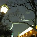  , -, 59  -  9  2016   .