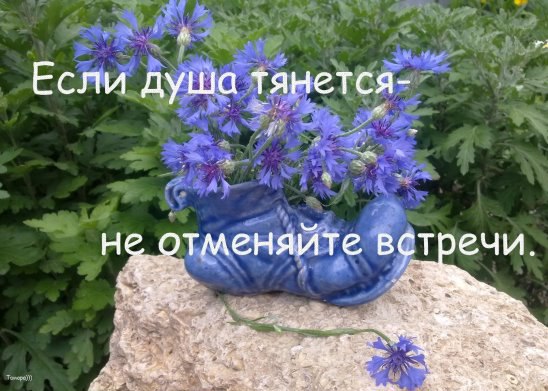      ,     , ,  ...
