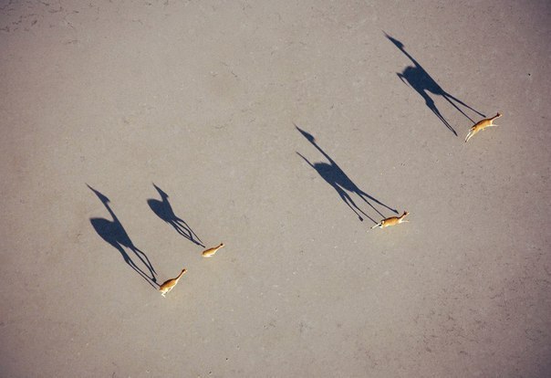          -     " "  -   : https://fotostrana.ru/away?to=/sl/9x2 - 5  2015  10:38