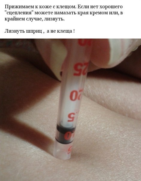 ���������� � ������� ����� ���������� ������ - 5