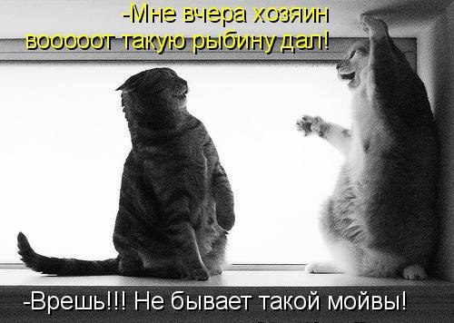       - 20  2016  13:33