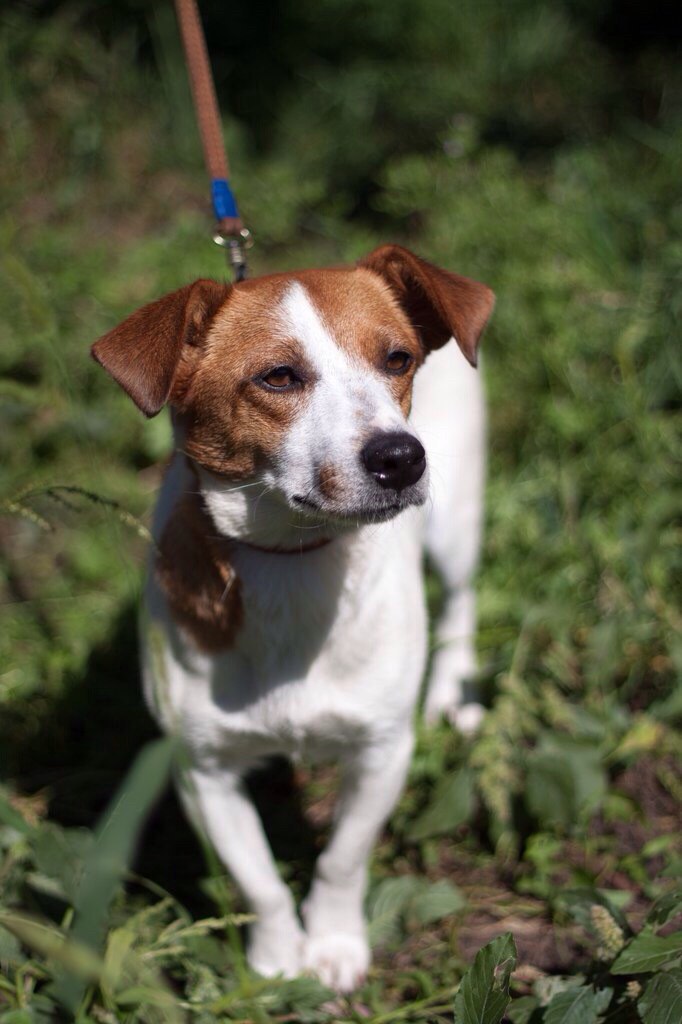 ������ ������ - 20 ������� 2015 � 17:56