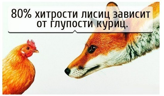     - 2  2016  18:55