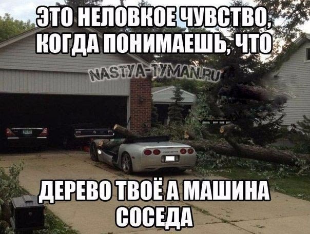  " " - 9  2015  05:31
