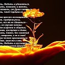 ���� ����, ��������, 68 ��� - ��������� 31 ������� 2015 � ������ ������ ��������