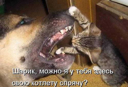       - 10  2016  16:35