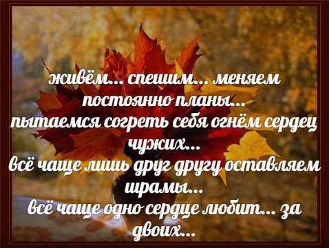 ����� �������� - 20 ������ 2015 � 22:33
