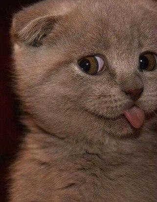   ,   .  ,   ;)