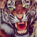 ���� ���������, ����������, 45 ��� - ��������� 8 ������ 2015 � ������ ������ ��������