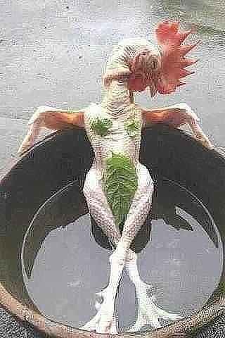   ))