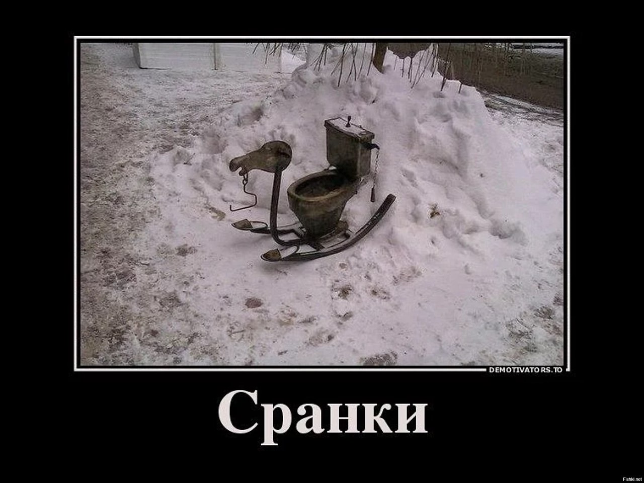    - 2  2016  11:37