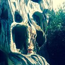 ���� �����, ����-���������, 45 ��� - ��������� 27 ������� 2016 � ������ ���� ����������