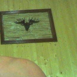 ��������, ���������, 57 ���