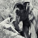 ���� Aleks, ����� ������� - ��������� 13 ������� 2015 � ������ �Elephants�
