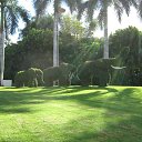 ���� �����, �����-���������, 59 ��� - ��������� 26 ������� 2015 � ������ ������ ��������