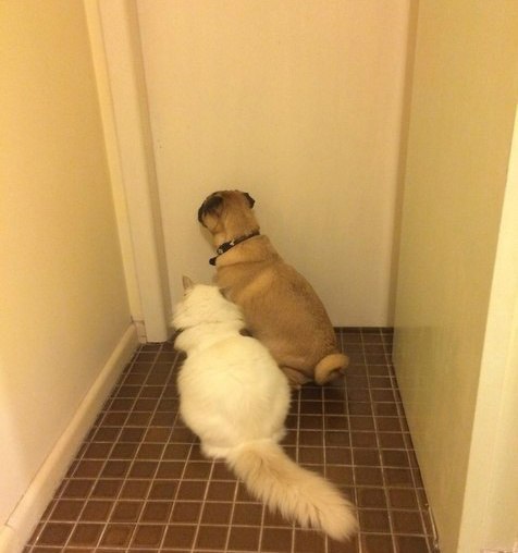 "-       "       ...