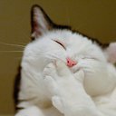 ���� Calm, �������� - ��������� 28 ������� 2015 � ������ ���� ����������