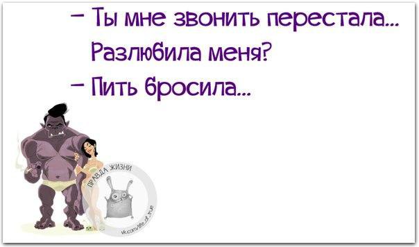   - 6  2016  16:41
