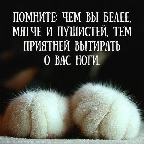 - 14  2016  16:47