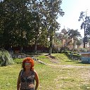 ���� �����, ������������ - ��������� 7 ������� 2016 � ������ ��������.�