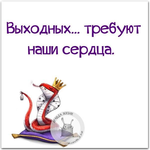   - 10  2015  22:15