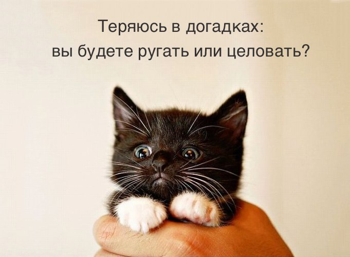 ������� - 29 ������ 2015 � 21:13