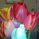 ���� Radogneva, �����, 37 ��� - ��������� 12 ������ 2016 � ������ ������