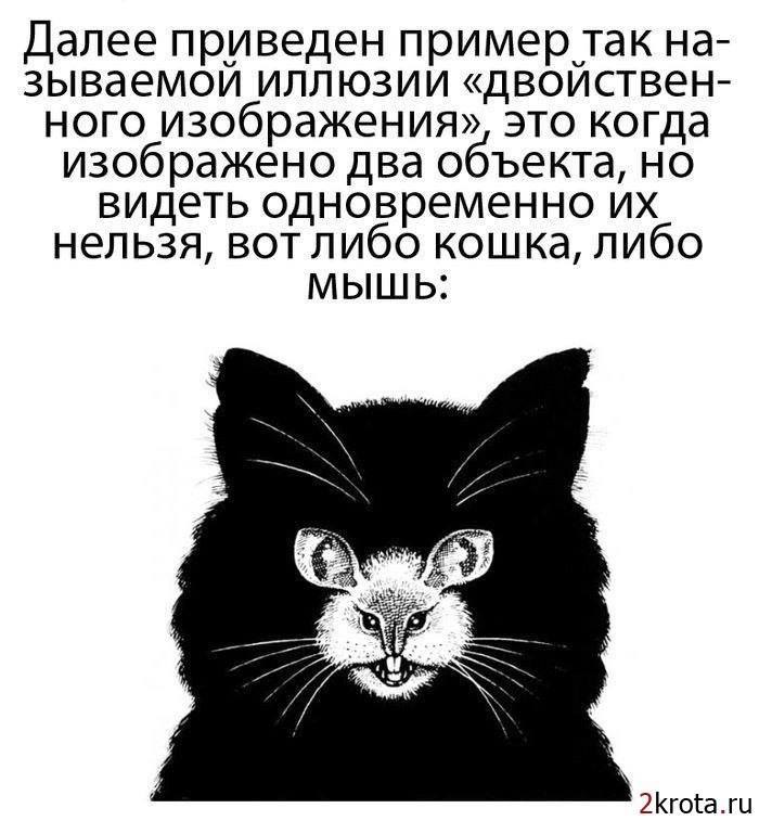  - 18  2015  21:10
