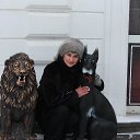  , , 61  -  16  2016   ,  2016 