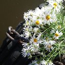 ���� �����, ������� - ��������� 14 ������� 2015 � ������ ���� ����������