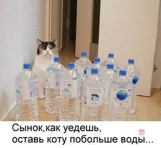     - 20  2016  17:17