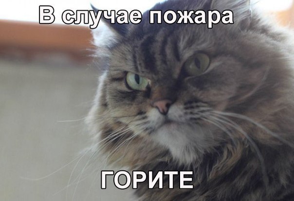  - 5  2016  15:41