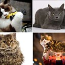 ���� Viktor, ����� - ��������� 2 ������ 2015 � ������ ���� ����������