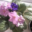 ��� ����� �������� ������ ! �� ������� ����� ����� ������.�