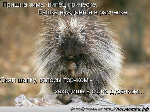       - 6  2016  03:30