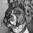 ���� ��� ���������, ������, 40 ��� - ��������� 13 ������ 2016 � ������ ���� ����������