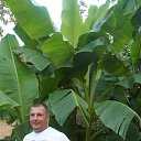 ���� ��� �����, ������, 47 ��� - ��������� 20 ������� 2015