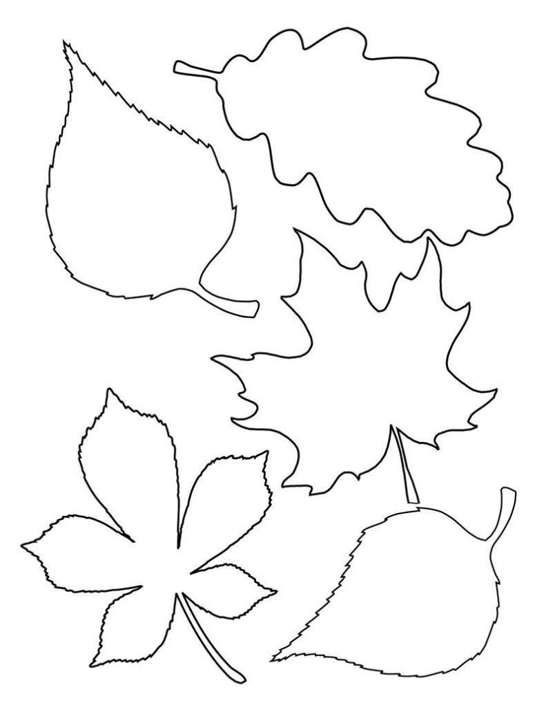     - 5