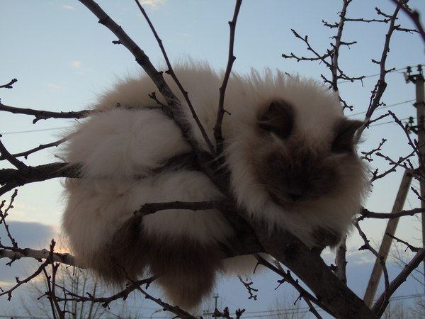   :3