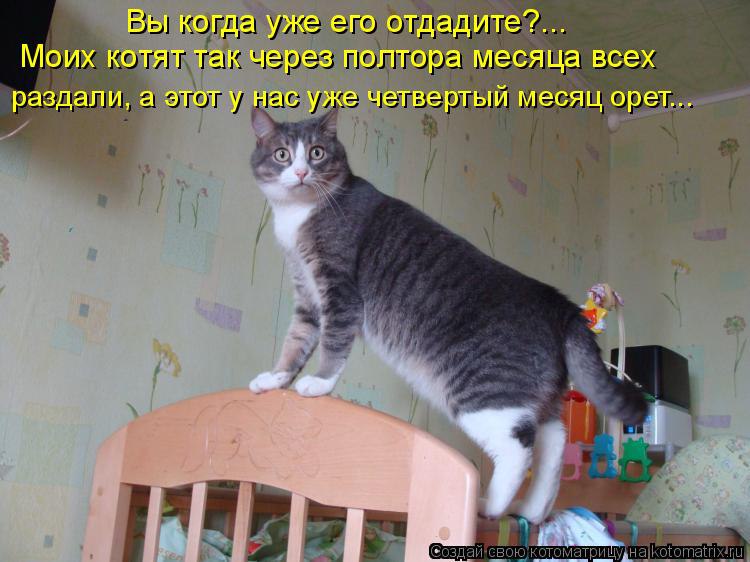   - 1  2016  21:45