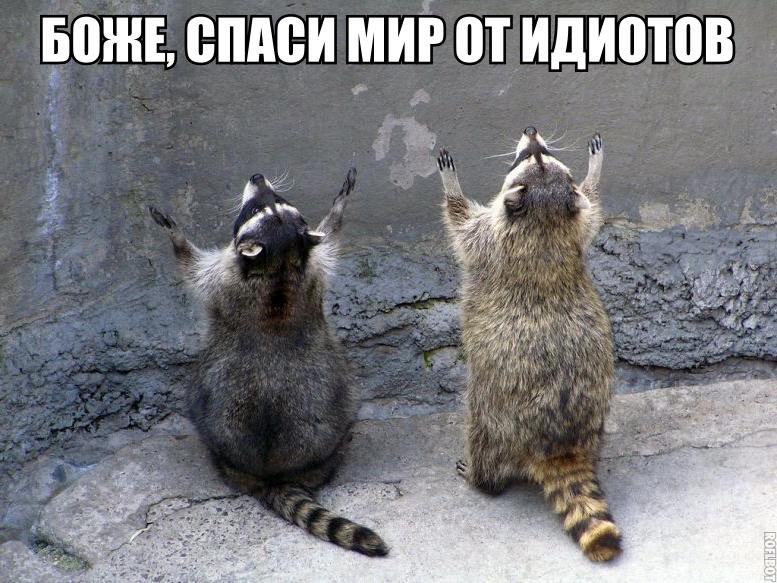   :-) - 7  2015  06:01