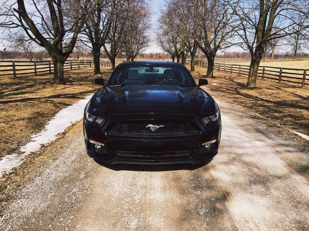 2015 Ford Mustang GT