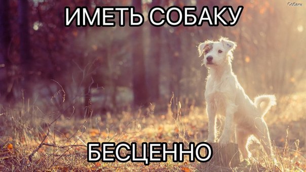   - 27  2015  11:06